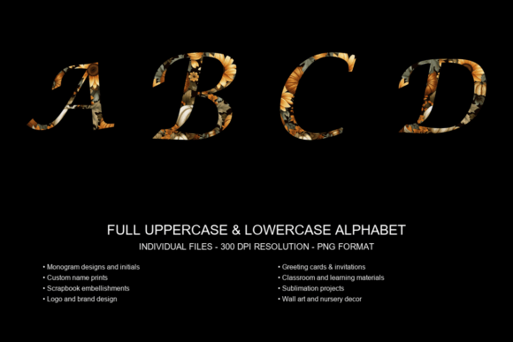 Lucida Calligraphy Italic Font Art Set: Instant Personality